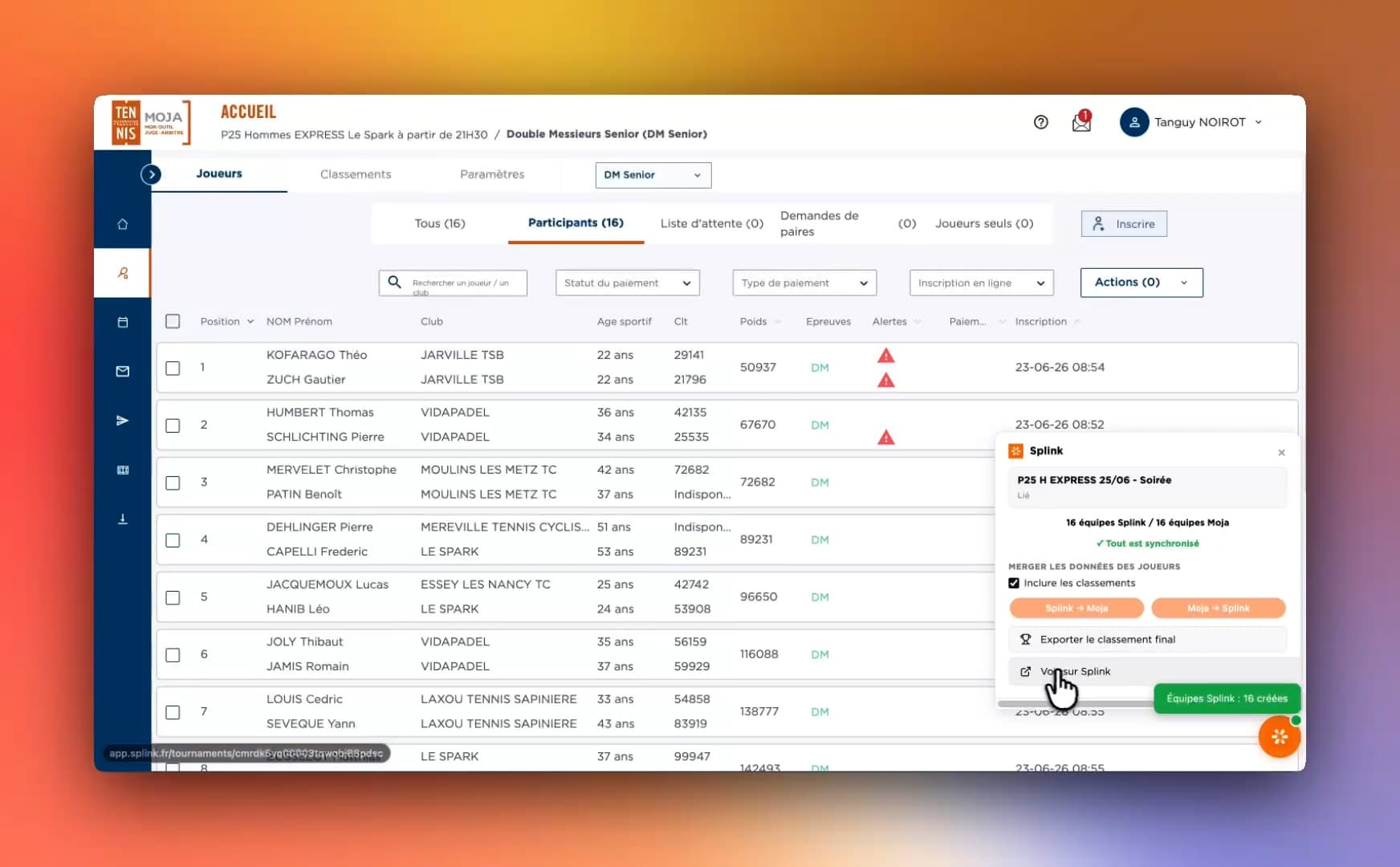 Interface Splink